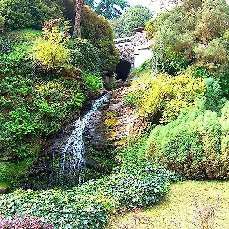 Flora